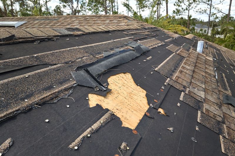 Roof Inspection and Repair