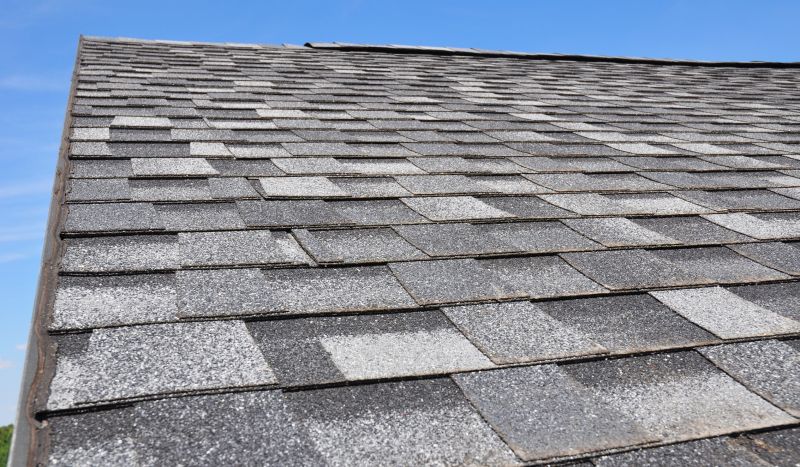 Summer Roofing Maintenance